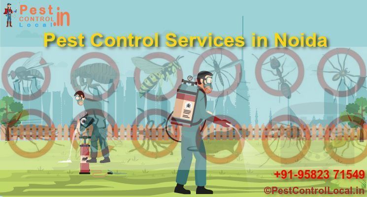 Pest Control Services In Noida