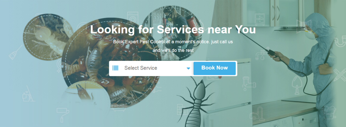 Screenshot_2018-06-23 Pest Control Services Maximum Discount on All Bookings PestControlLocal in